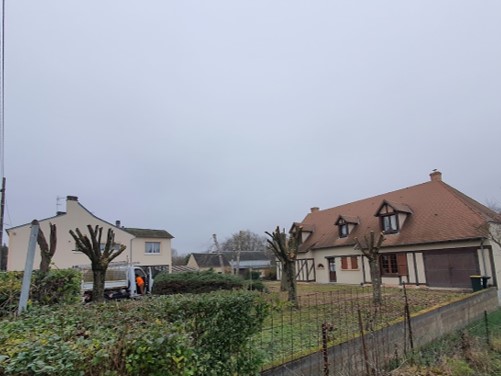 elagage d'arbres